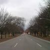 Preservationists Plan Rally To Save Pelham Parkway Trees